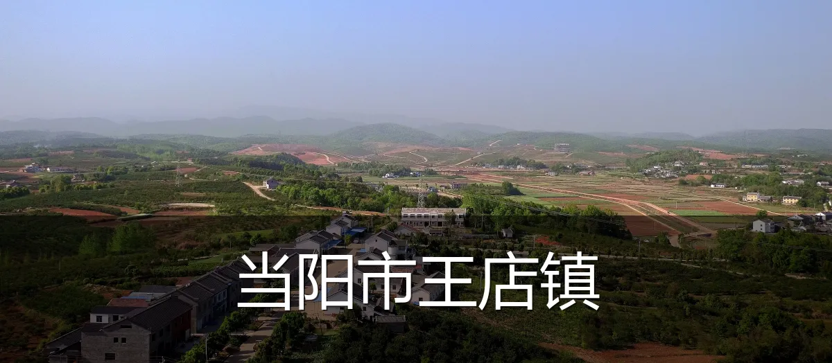 当阳市王店镇