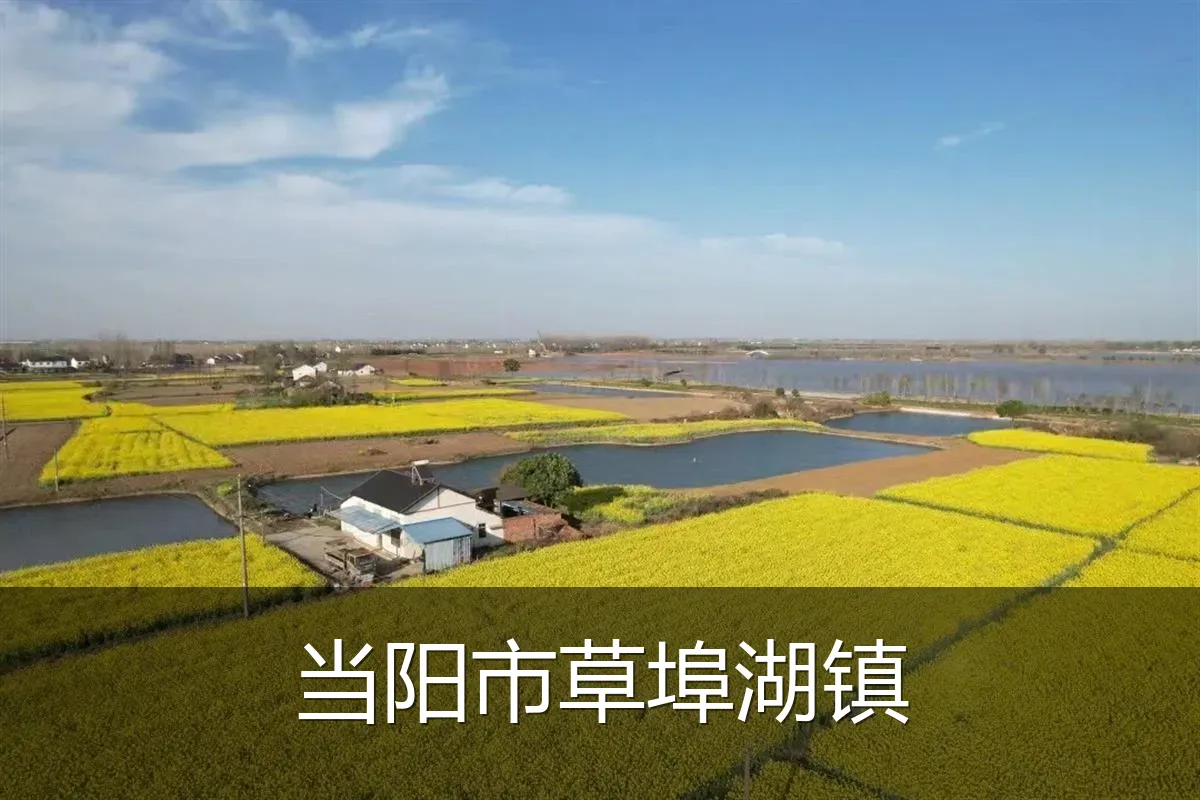 当阳市草埠湖镇