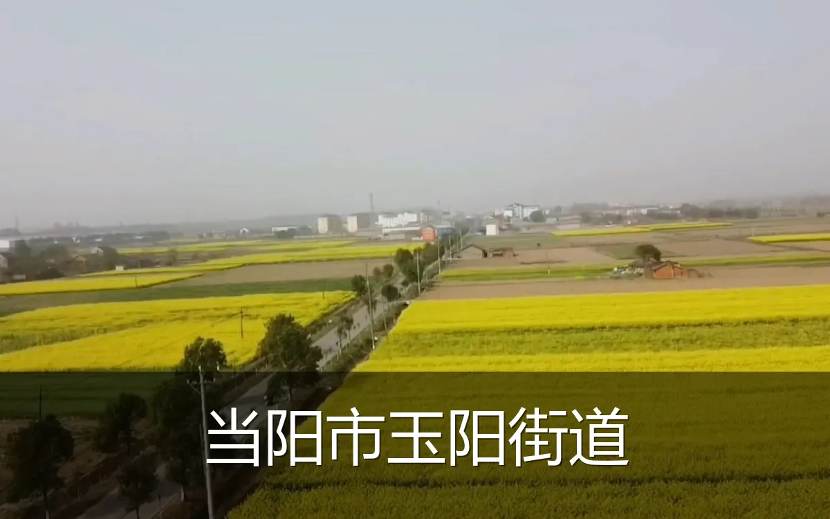 当阳市玉阳街道